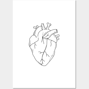 Anatomical heart black and white Posters and Art